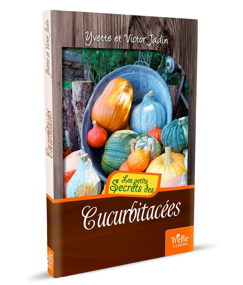 Cucurbitacées: concombre, courge, coloquinte