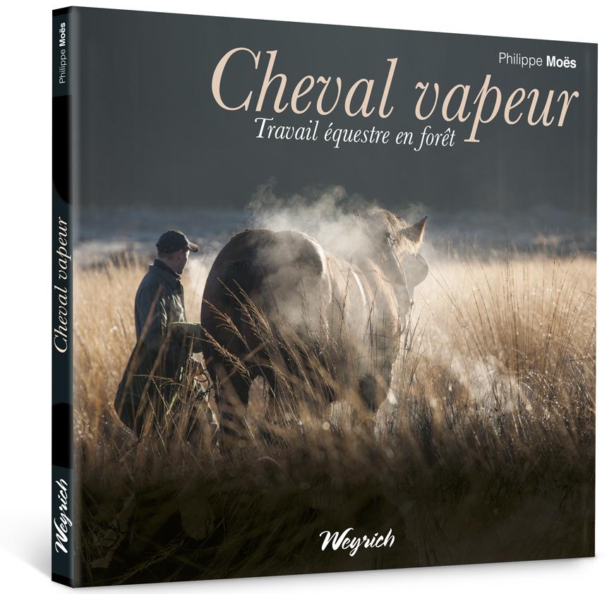 Cheval vapeur