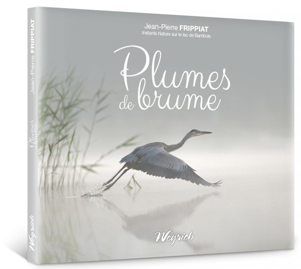 Plumes de brume