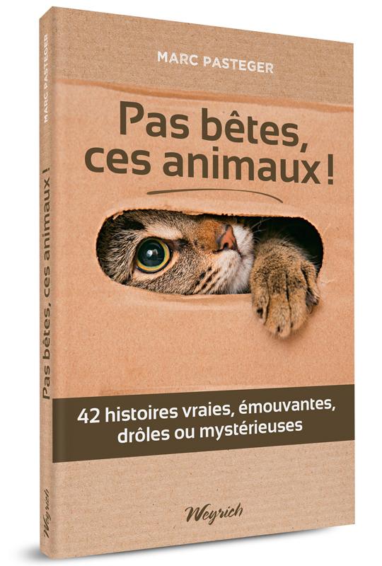 Pas bêtes, ces animaux