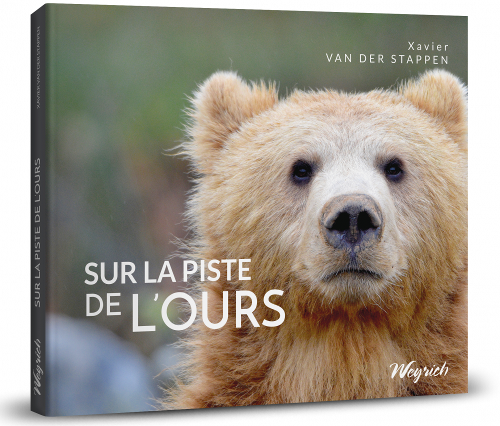 Sur la piste de l'ours