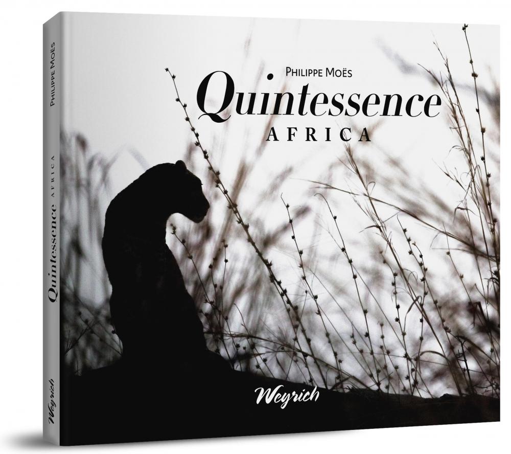 Quintessence Africa