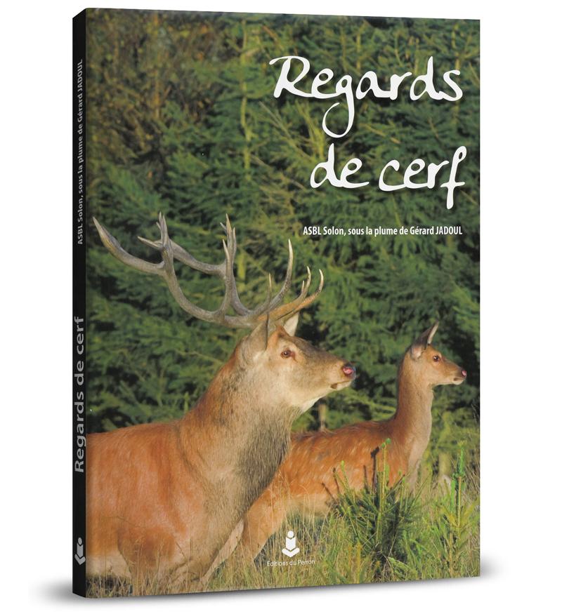 Regards de cerf