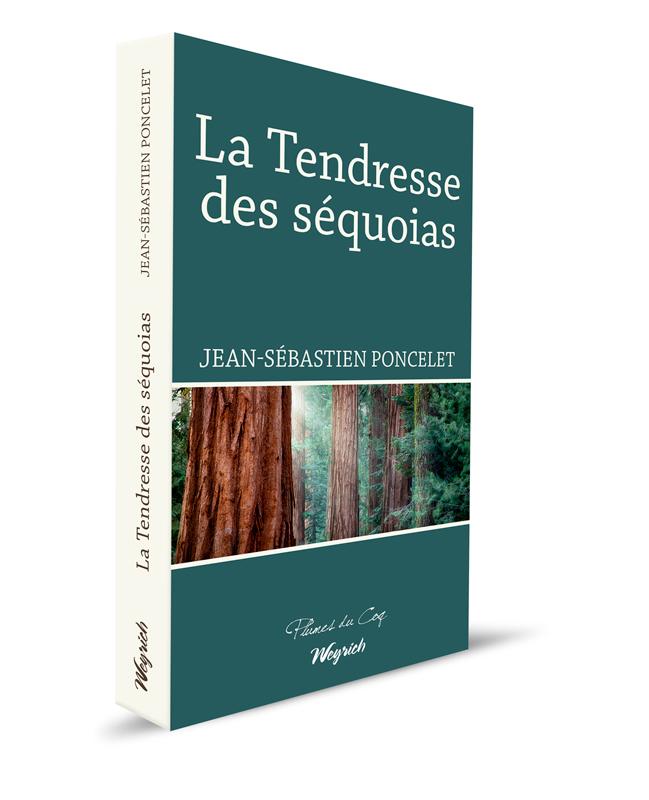 EBOOK - Tendresse des séquoias (La)