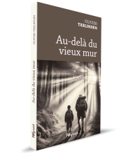 EBOOK - Au-delà du vieux mur