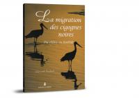 Migration des cigognes noires (La)